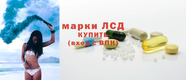 spice Снежногорск