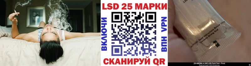 дарк нет Telegram  где купить наркотик  Королёв  Наркотические марки 1,8мг 