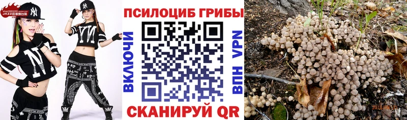 Галлюциногенные грибы прущие грибы  где можно купить наркотик  Королёв 